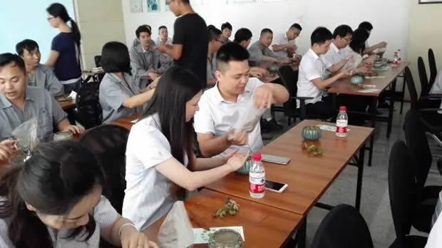 華亭鎮(zhèn)團委聯(lián)合上海滬工閥門廠開展微景觀綠植DIY活動（圖7）
